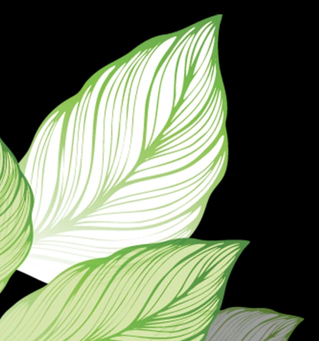 leaf